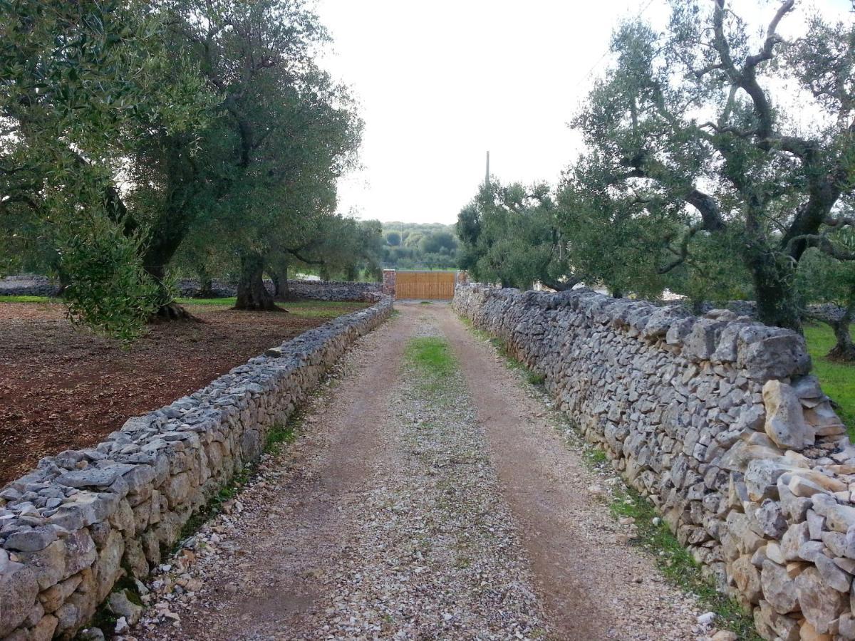 Studio In Ostuni With Enclosed Garden Lejlighed Eksteriør billede