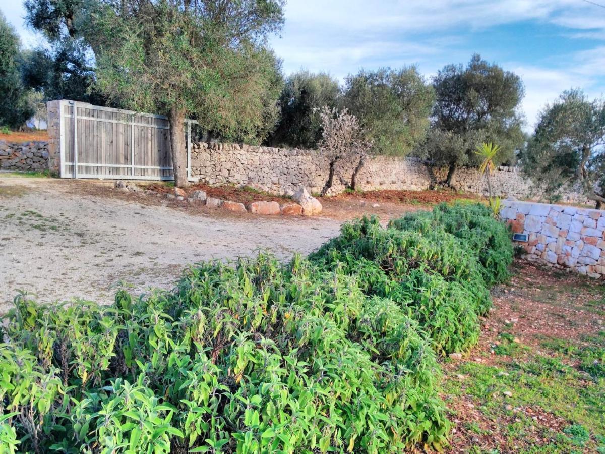 Studio In Ostuni With Enclosed Garden Lejlighed Eksteriør billede